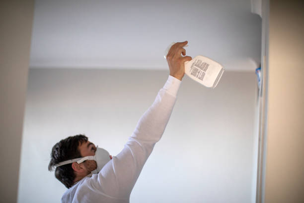 Best Mold Remediation  in Bliss Corner, MA